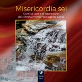 Misericordia sei artwork