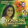 Thrissur Gopi - Pennaale