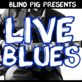 Blind Pig Presents: Live Blues artwork