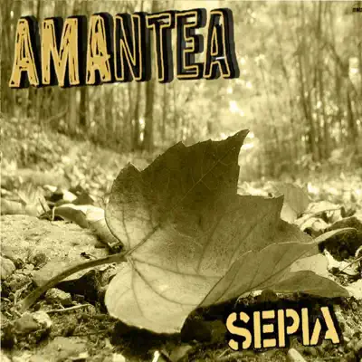 Sepia - Single - Amantea