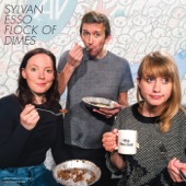 Sylvan Esso - Everything Is Free (feat. Flock of Dimes)