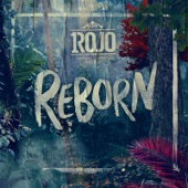 Reborn artwork