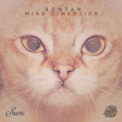 Bontan - State of Mind