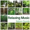Relaxing Music – New Age Music for Yoga Meditation, Reiki, Ayurveda, Deep Sleep, Study, Reading, Concentration, Learning, Massage and Spa, Fall Asleep