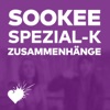 Zusammenhänge (feat. Spezial-K) - Single