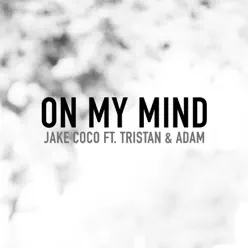 On My Mind (Acoustic) [feat. Tristan & Adam] - Single - Jake Coco