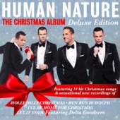 The Christmas Album (Deluxe Edition) artwork