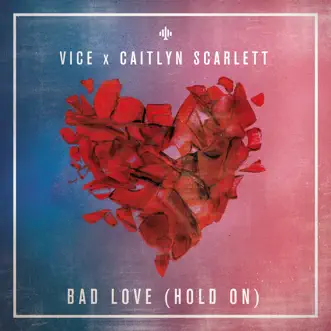 Bad Love (Hold On) (Radio Edit) by Vice & Caitlyn Scarlett song reviws