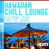 Hawaiian Chill Lounge: Electronic Moods from the Islands