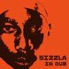 Sizzla - Burn It Down
