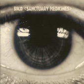 Sanctuary Medicines artwork