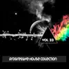 Stream & download Progressive House Collection, Vol. 33