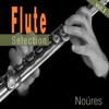 Flute Selection, Vol. 1