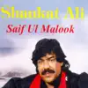 Saif Ul Malook, Vol. 1 album lyrics, reviews, download