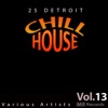 25 Detroit Chillhouse, Vol. 13