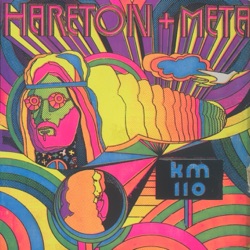 Hareton Salvanini - Km 110