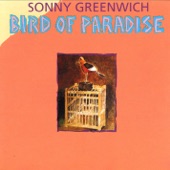 Sonny Greenwich - Night and Day