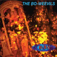 Burn (2016 Remastered Edition) by The Bo-Weevils album reviews, ratings, credits