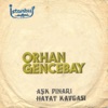 Aşk Pınarı / Hayat Kavgası (45'lik) - Single