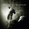 Dead Moon Falling album lyrics, reviews, download