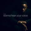 Wanna Hear Your Voice - Single