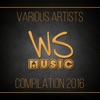 Ws Music Compilation 2016, 2016