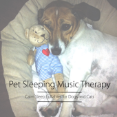 Pet Sleeping Music Therapy: Calm Sleep Lullabies for Dogs and Cats, Sleep Music for Animals and Pets - Pet Care Music Therapy