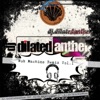 dj.dilatedanthen - Dance House Music (Wub Machine Electro House Remix)