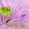 Body Spa – Peaceful Spa Songs for Massage, Body Scrub, Sauna, Turkish Bath & Spa Treatments