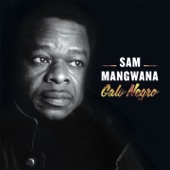 Sam Mangwana - Nakupenda