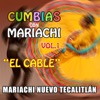 Cumbias Con Mariachi, Vol. 1 (El Cable)