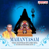 Mahanyasam artwork