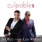 Culpables (feat. Luis Vargas) - Jay Ruiz lyrics