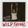 Wild Things (NuKid Remix) - Single, 2016