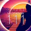 Sound Meditation 111 – Ambient Sounds for Relax, Concentration & Nada Yoga, Music Therapy for Inner Bliss album lyrics, reviews, download