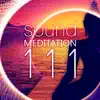 Stream & download Sound Meditation 111 – Ambient Sounds for Relax, Concentration & Nada Yoga, Music Therapy for Inner Bliss