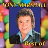 Tony Marshall - Schöne Maid