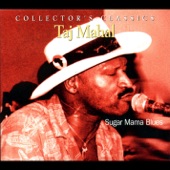 Taj Mahal - Going up to the Country and Paint My Mailbox Blue
