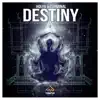 Destiny (Radio Edit) - Single album lyrics, reviews, download