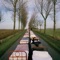 A Momentary Lapse of Reason ジャケット写真