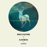 Wild Culture & Karmin - Sugar (Club Edit)