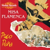 Misa Flamenca artwork