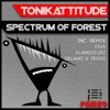 Spectrum of Forest - EP