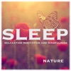 Sleep (Relaxation Meditation and Mindfulness) Nature