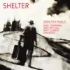 Shelter (feat. Marc Mommaas, Matt Mitchell, Matt Clohesy & Dan Weiss) album lyrics, reviews, download