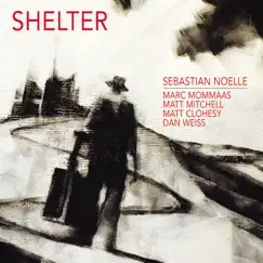 Shelter (feat. Marc Mommaas, Matt Mitchell, Matt Clohesy & Dan Weiss) by Sebastian Noelle album reviews, ratings, credits