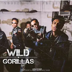 Wild Gorillas by Switchgang album reviews, ratings, credits