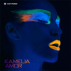 Amor (Radio Edit) - Kamelia