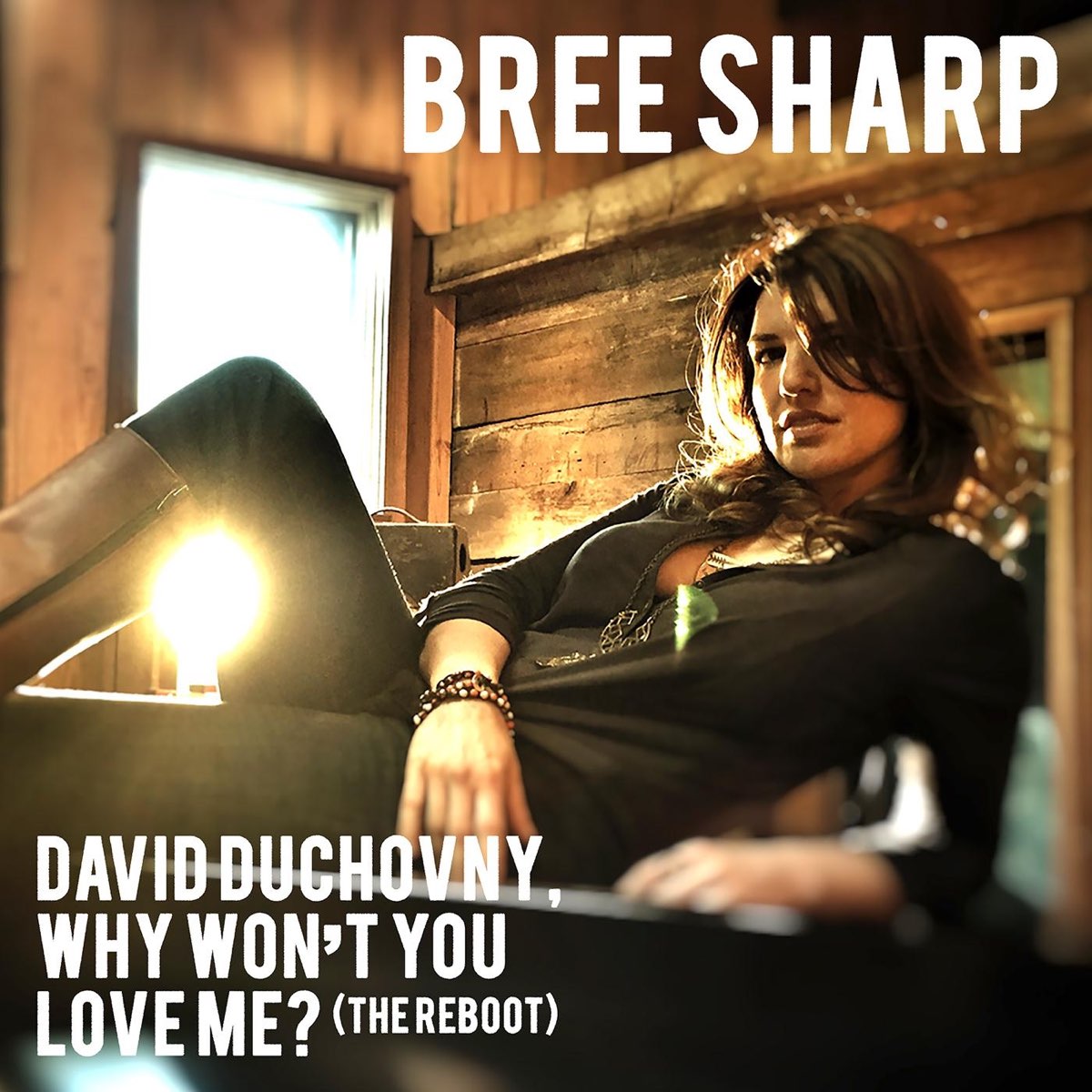 David Duchovny Why Won T You Love Me The Reboot Single By Bree Sharp On Apple Music