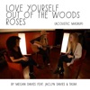Love Yourself, Out of the Woods, Roses (Acoustic Mashup) [Acoustic Mashup] - Single, 2016